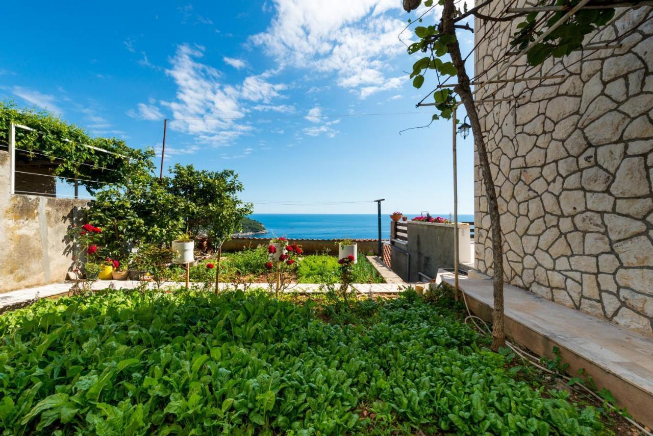 Guesthouse Home Sweet Home Dubrovnik Exterior photo